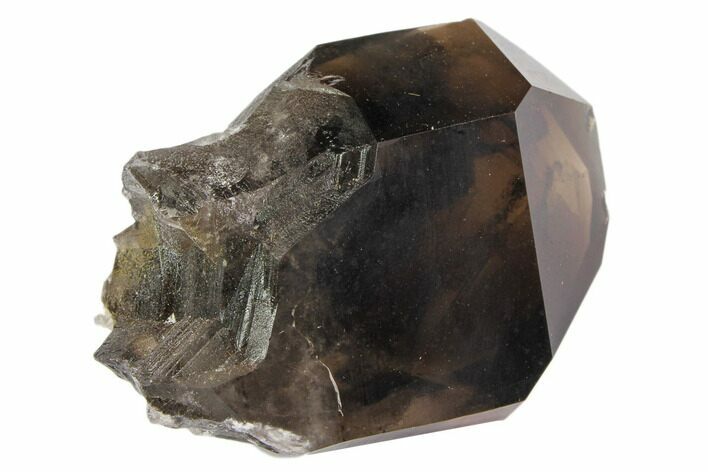 Dark Smoky Quartz Crystal - Brazil #84816